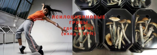 спайс Беломорск