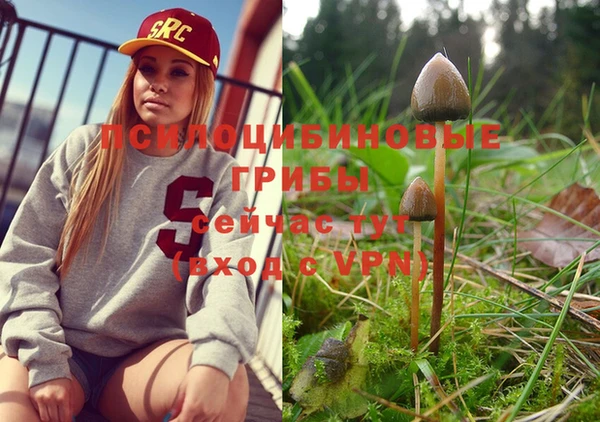 стафф Белокуриха
